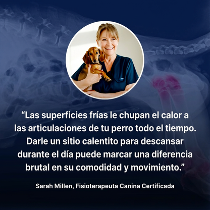 ¡DETENGA LA PÉRDIDA DE CALOR DE LAS ARTICULACIONES: RESTAURE LA MOVILIDAD Y LA COMODIDAD!