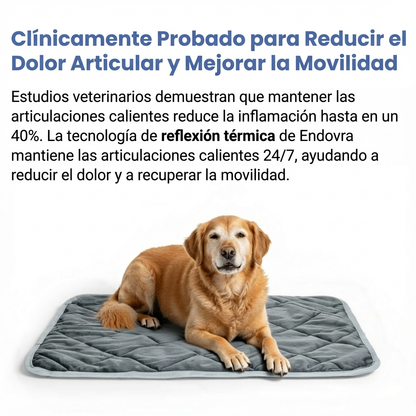 ¡DETENGA LA PÉRDIDA DE CALOR DE LAS ARTICULACIONES: RESTAURE LA MOVILIDAD Y LA COMODIDAD!