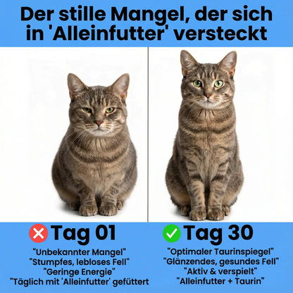 Stop the Silent Deficiency Before You See the Signs with MyLittlePaw Taurine Supplement