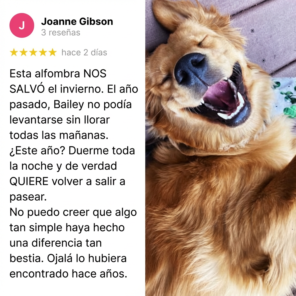 ¡DETENGA LA PÉRDIDA DE CALOR DE LAS ARTICULACIONES: RESTAURE LA MOVILIDAD Y LA COMODIDAD!