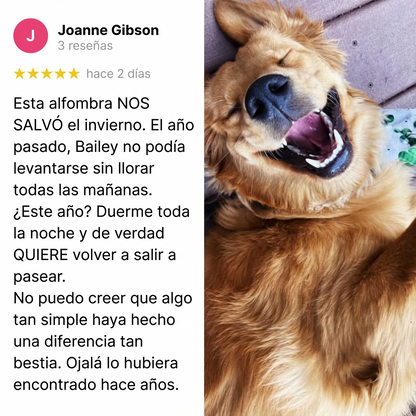 ¡DETENGA LA PÉRDIDA DE CALOR DE LAS ARTICULACIONES: RESTAURE LA MOVILIDAD Y LA COMODIDAD!