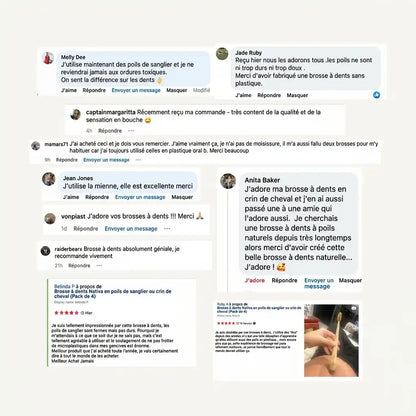Kartáček na zuby s kančími nebo koňskými štětinami (balení 4 ks)