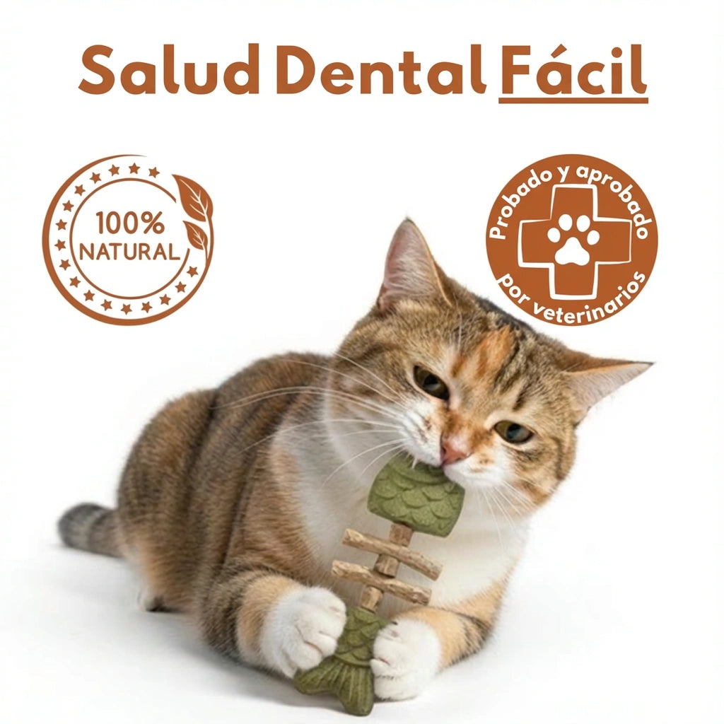 PurriDent - Fix Cat Dental Health!