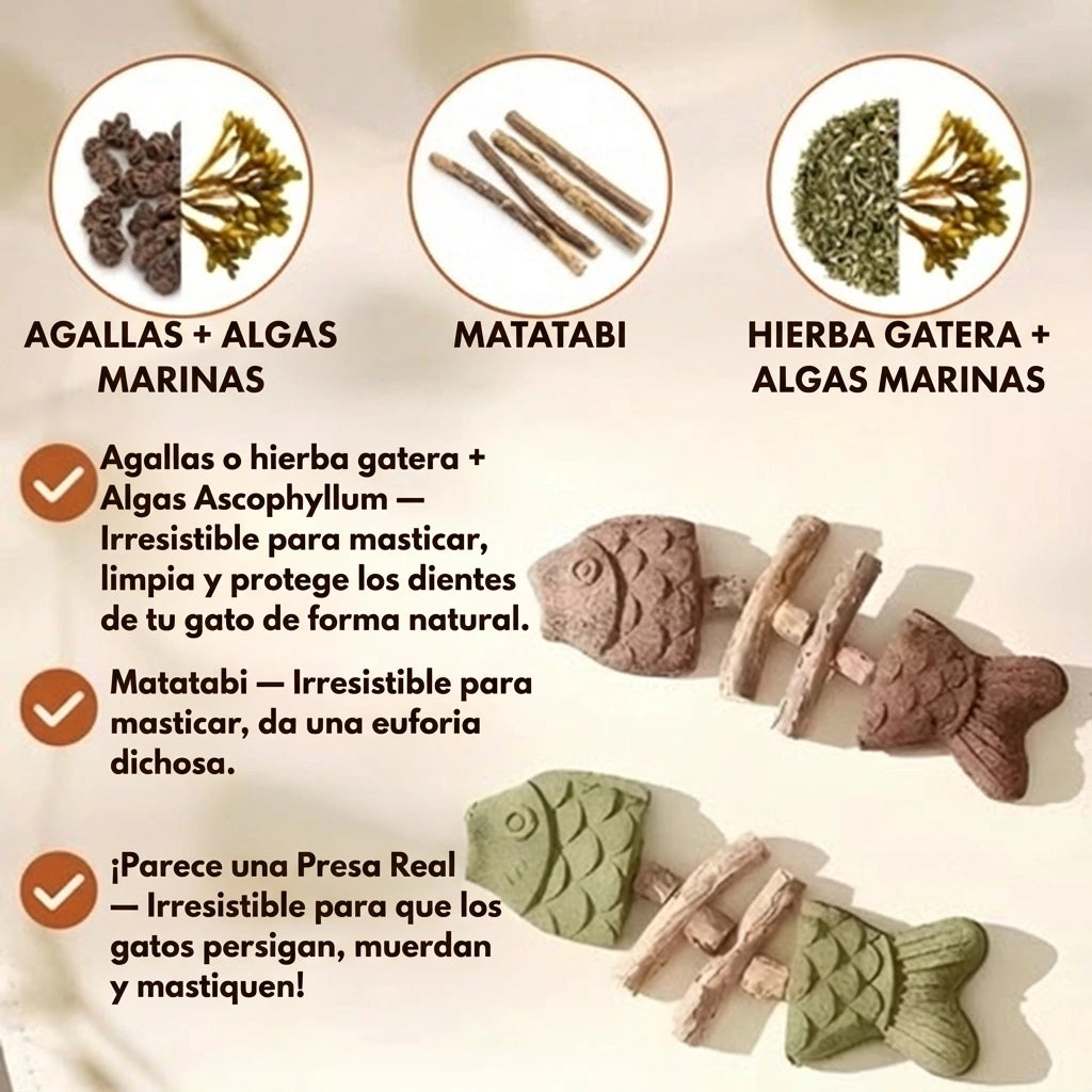 PurriDent - Fix Cat Dental Health!