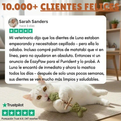 PurriDent - Fix Cat Dental Health!