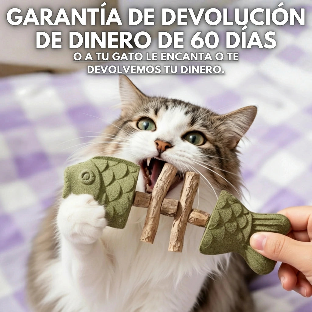 PurriDent - Fix Cat Dental Health!