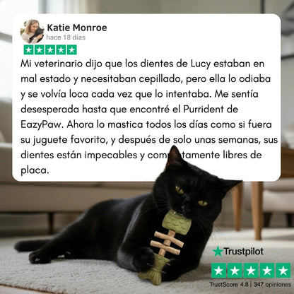 PurriDent - Fix Cat Dental Health!