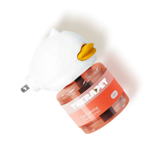 MyLittlePaw - Terapeuta