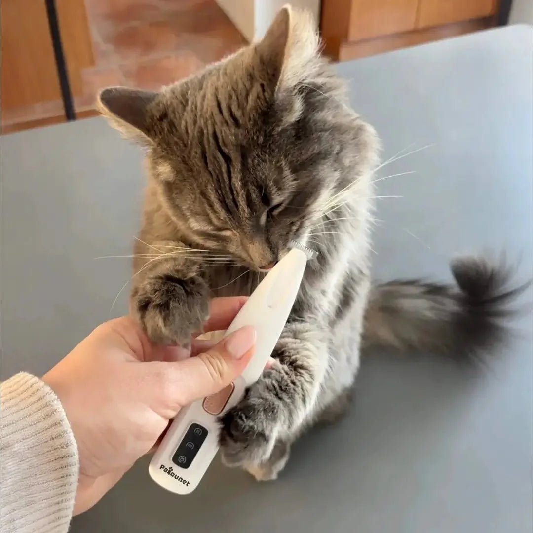 Patounet - Cortapelos de precisión para gatos